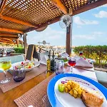 Oasis Domina Coral Bay