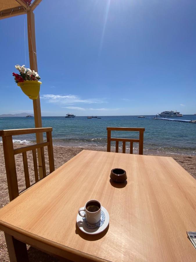 2 Bedrooms Shark's Bay Oasis With Free Beach 5 Metres Away * Sharm El-Sheikh