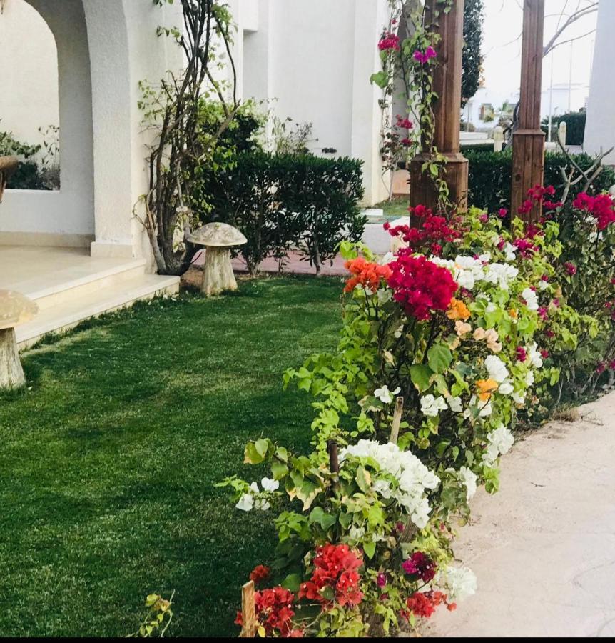 Two-bedroom Unit 8149 - Naama Bay Villa