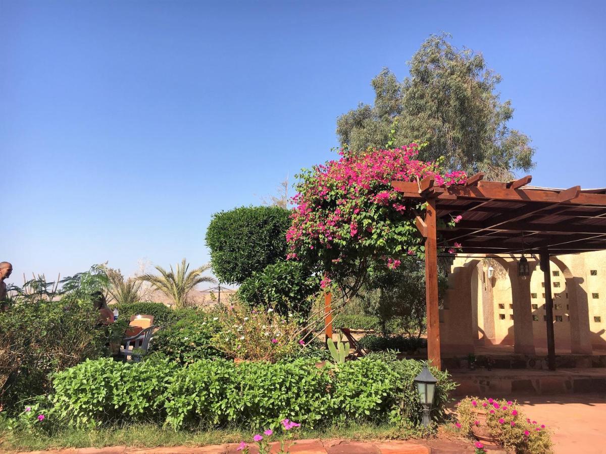 Apartment Villa Gamila *