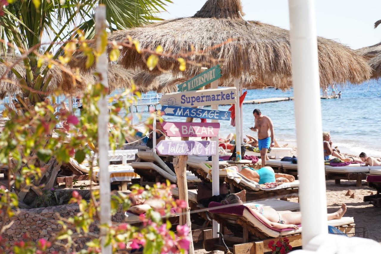 Bed & Breakfast Sunshine Divers Club - Il Porto *