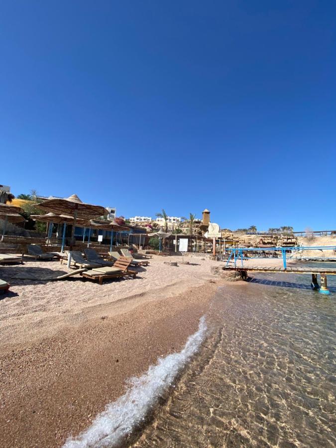 2 Bedrooms Shark's Bay Oasis With Free Beach 5 Metres Away Apartment *