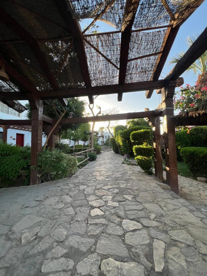 Main Pool Studio In Delta Sharm-el-Sheikh