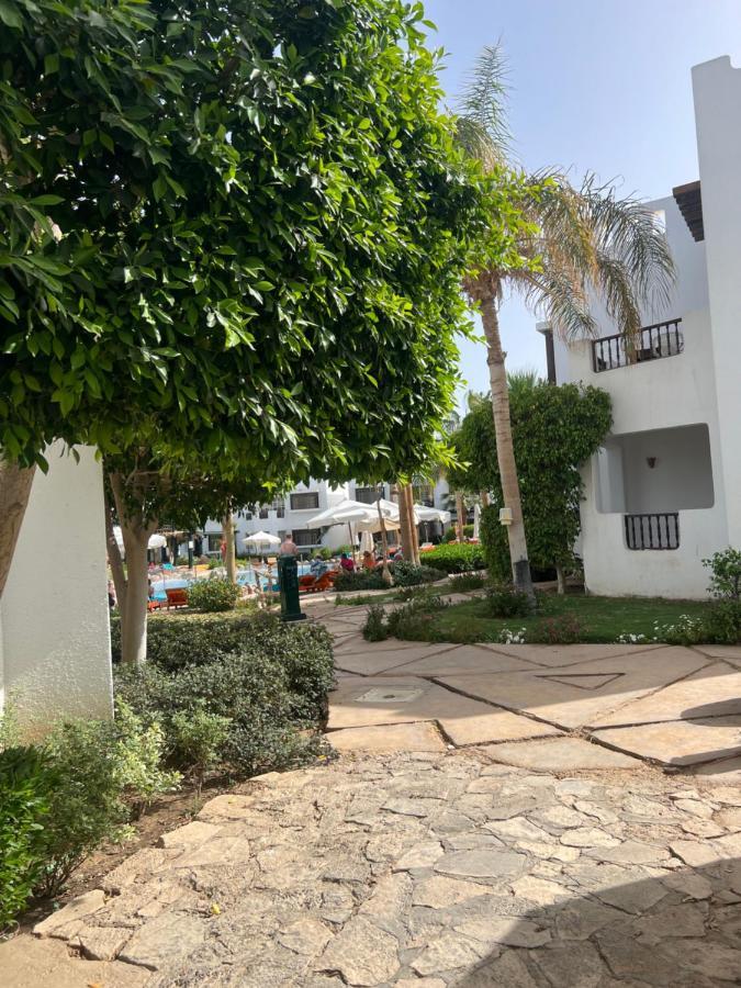 Main Pool Studio In Delta Appartement Sharm-el-Sheikh
