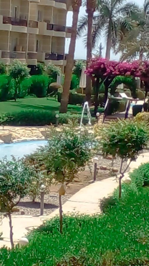 Free Wi-fi * Sharm el-Sheikh