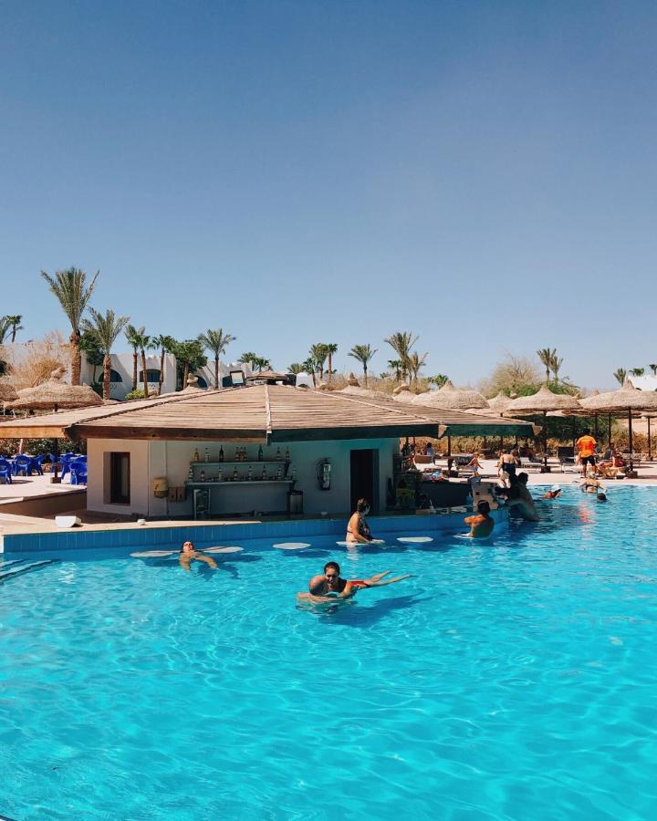 Private Coral & Kitchen In Sharm-el-sheikh * Sharm El Sheikk