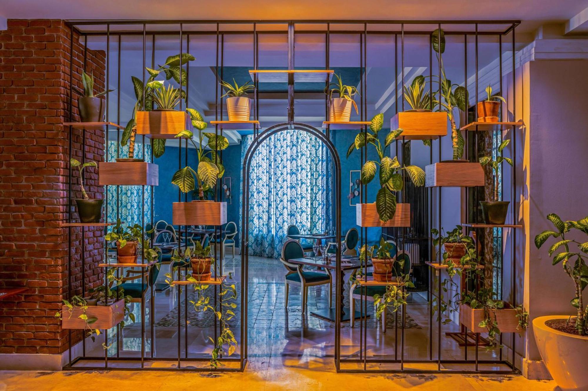 Rixos Sheikh (adults Only) 5*