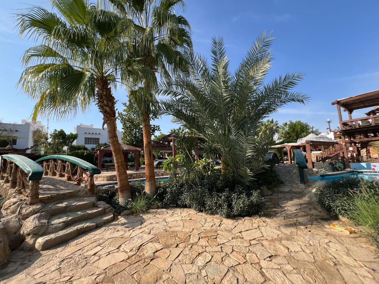 Main Pool Studio In Delta Sharm-el-Sheikh