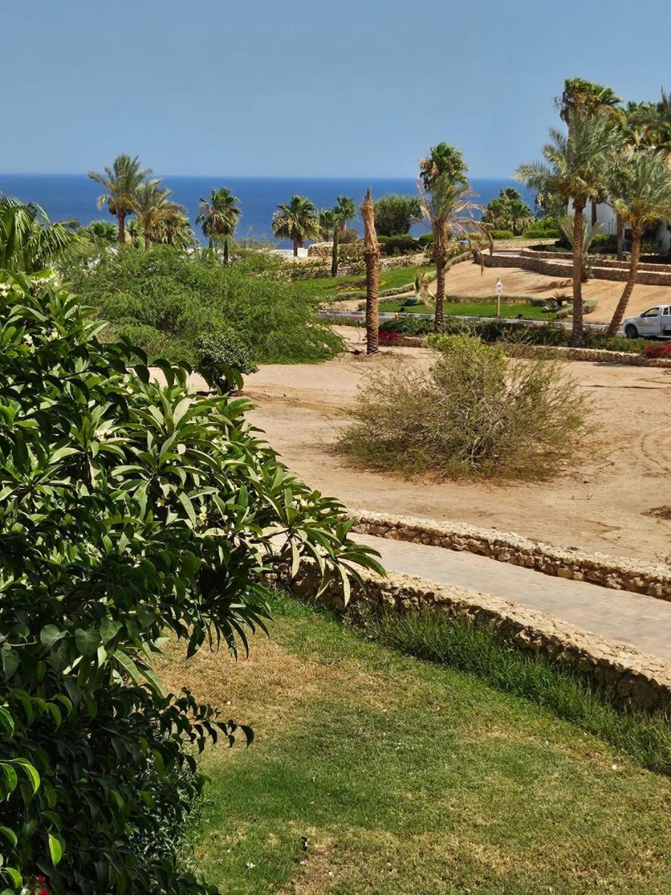 Domina Coral Bay Sea View Sheikh *