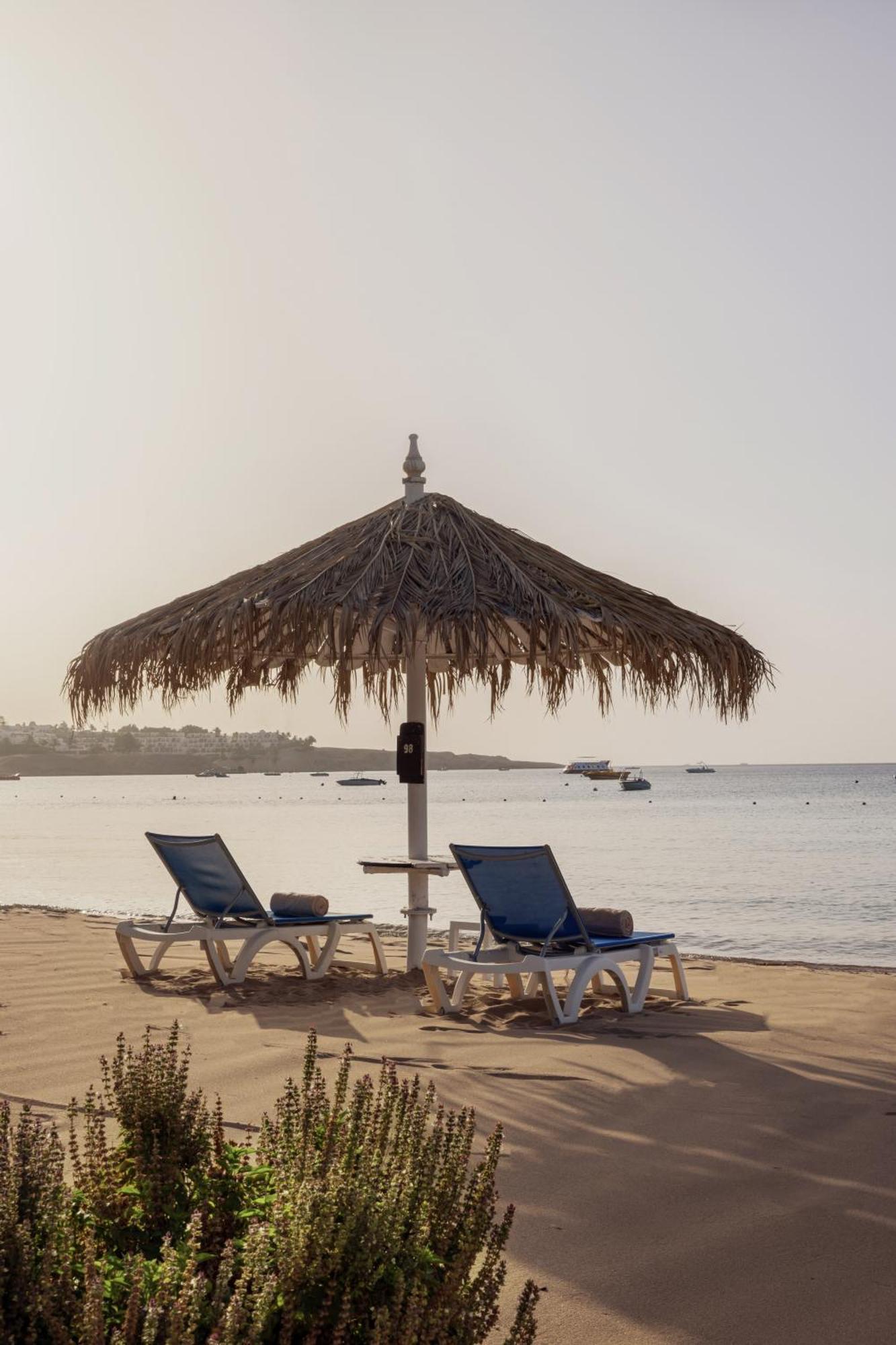 Jaz Fayrouz Resort Sharm-el-Sheikh