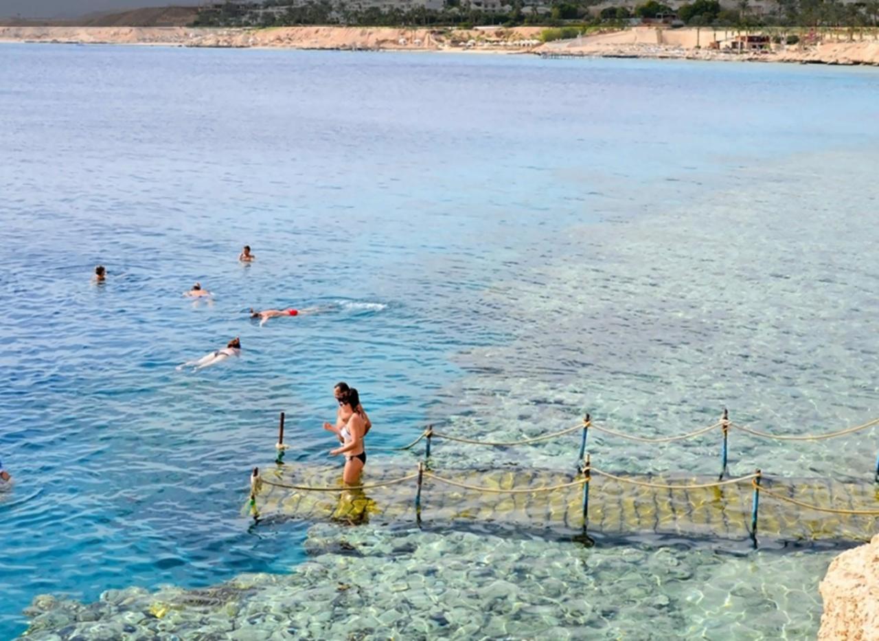 Sharm Resort Hotel Sharm El Sheikk