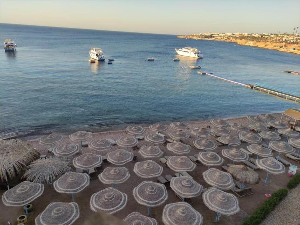 Sharks Bay Oasis Hotel Sharm el-Sheikh
