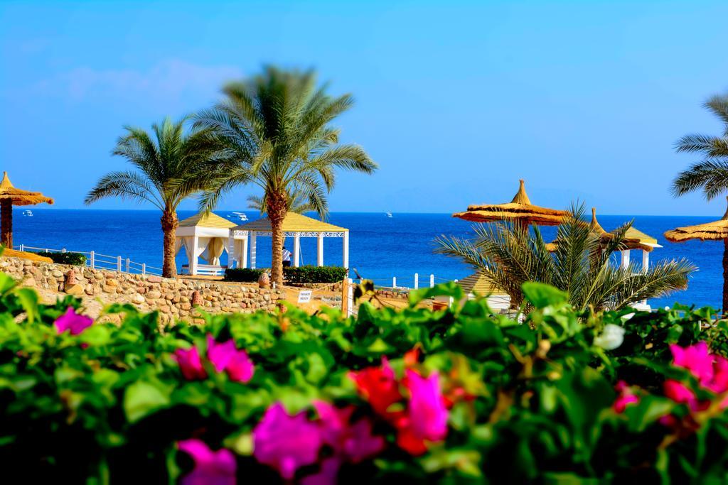 Royal Monte-carlo & (adults Only) Resort 5*