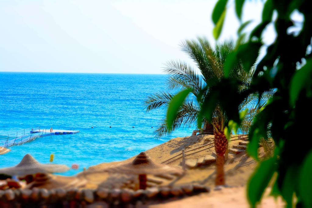 Resort Royal Monte-carlo & (adults Only)