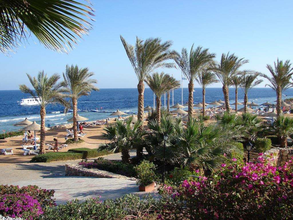 Resort Queen Aqua Park