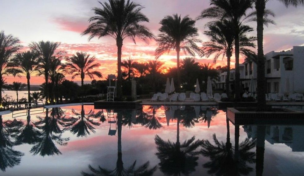 Hotel Continental Garden Reef 4*