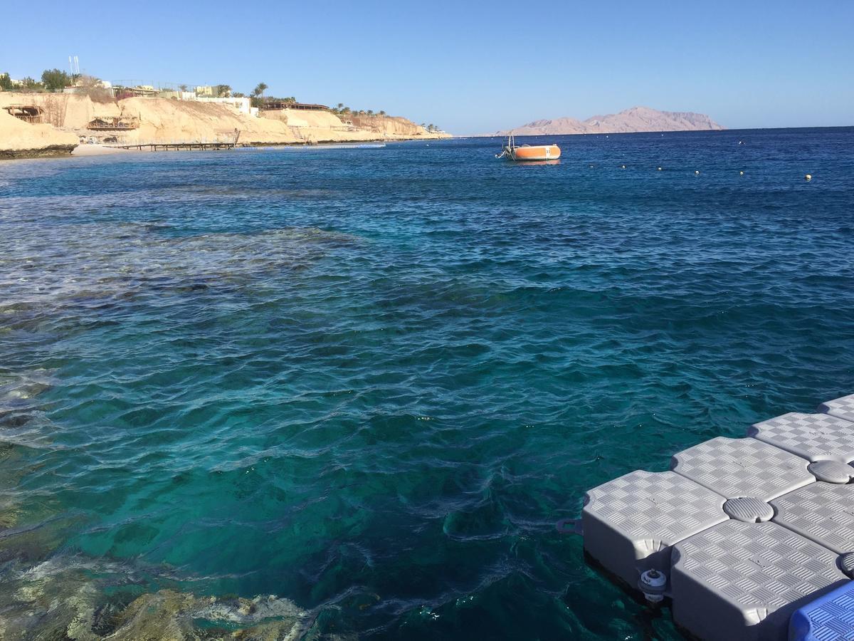 Sharks Bay Oasis