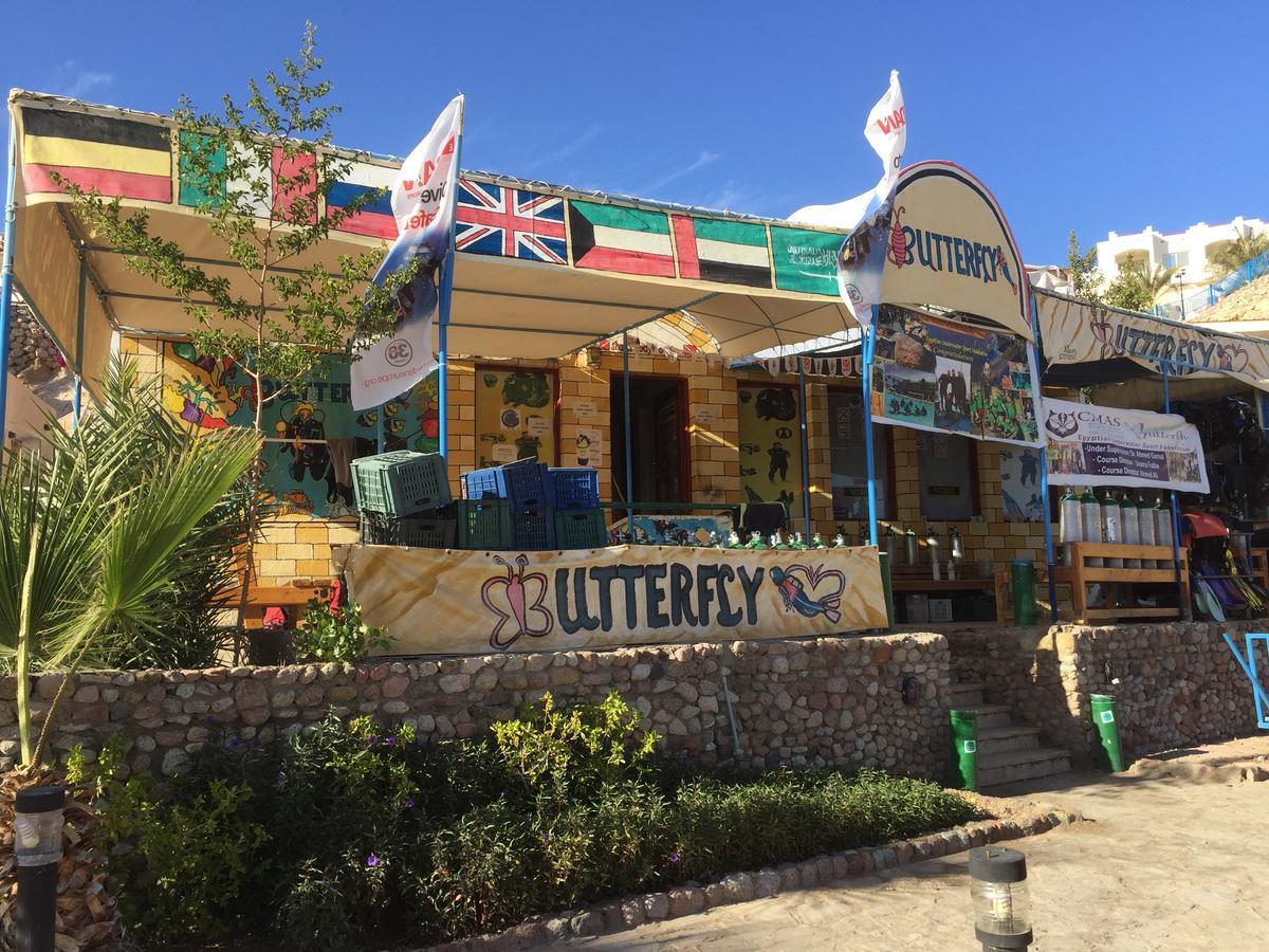 Sharks Bay Oasis *