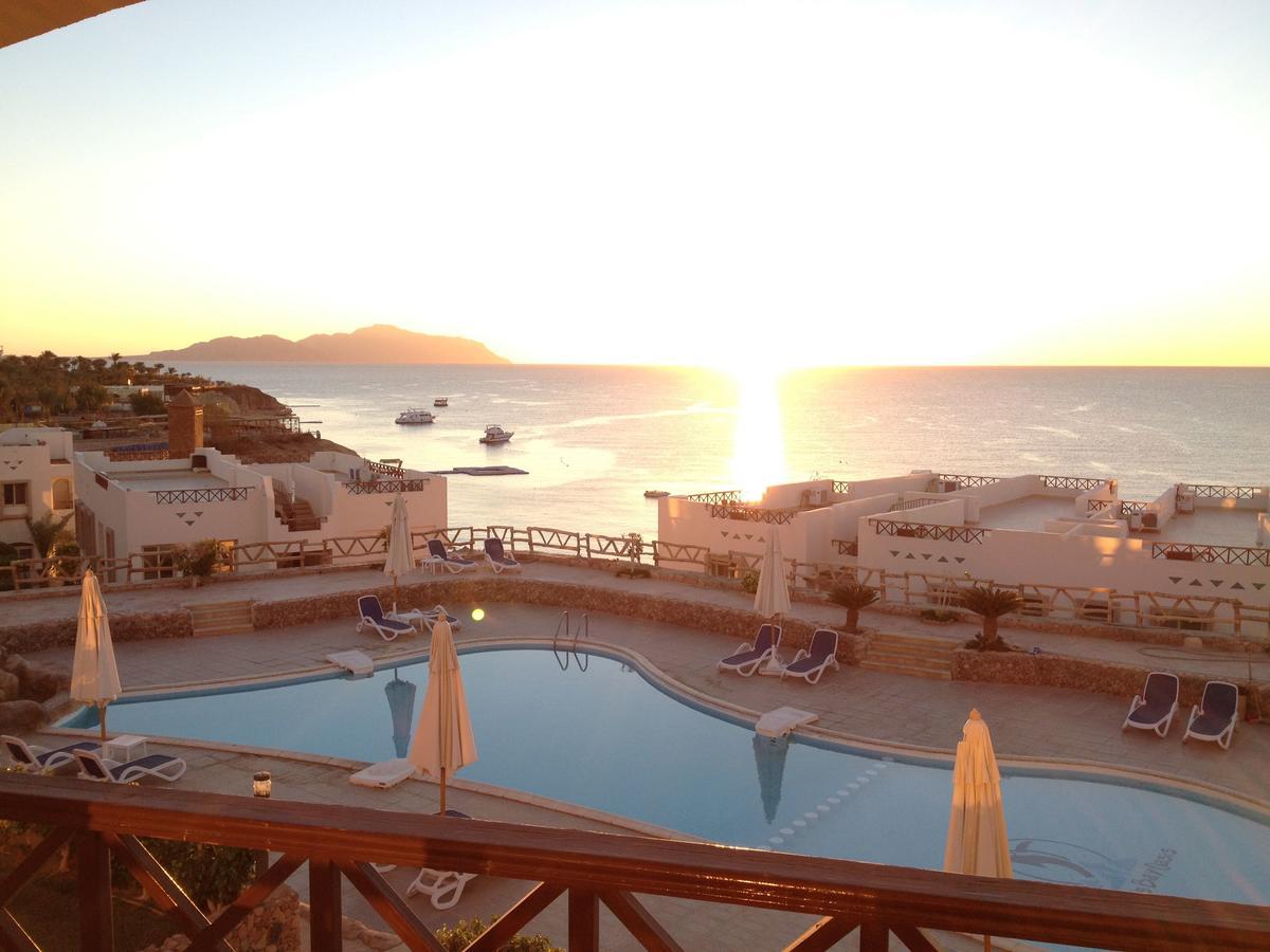 Sharks Bay Oasis Apartment