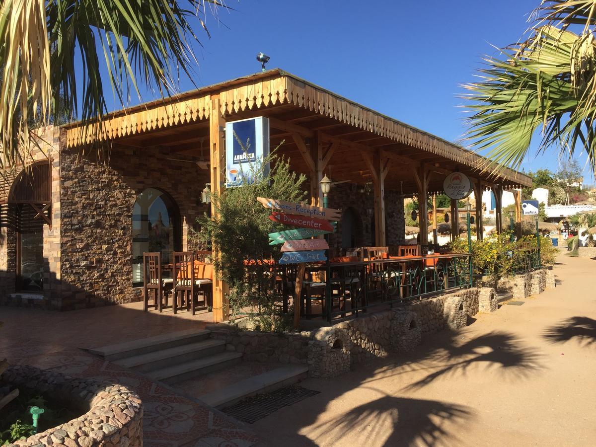 Sharks Bay Oasis Apartment