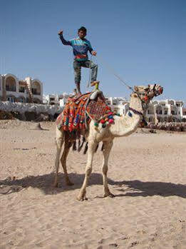 Hotel Melia Sharm Resort And Spa 5*