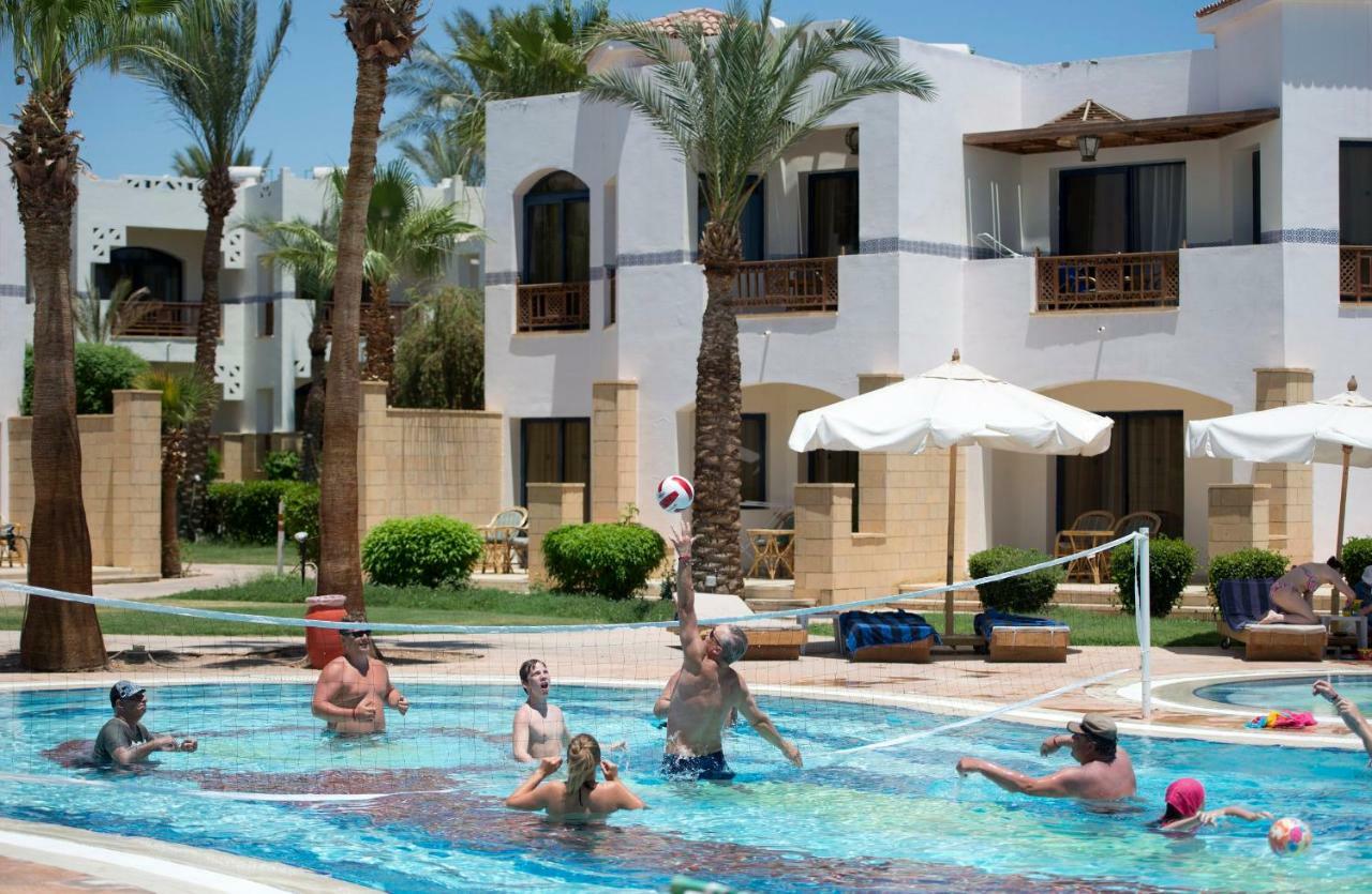 Amphoras 5* Sharm el Sheikh