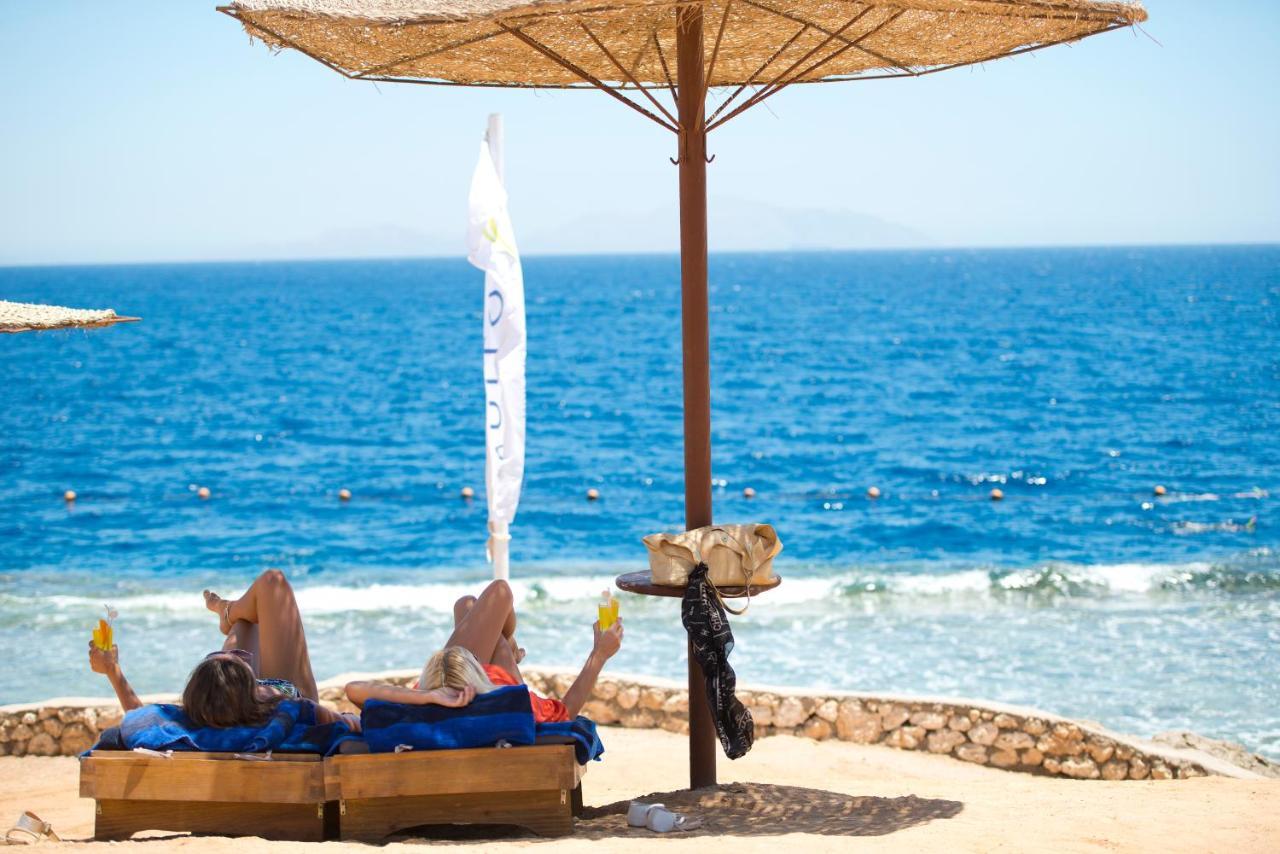 Amphoras Sharm el Sheikh
