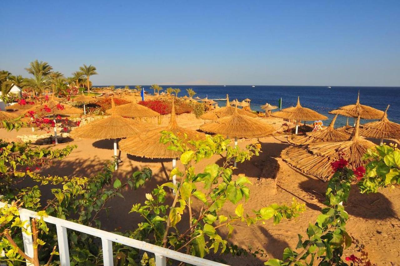 Carlton Luxury * Sharm el-Sheikh