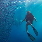 Sharks Bay Oasis Resort & Butterfly Diving Center