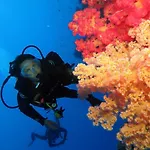 Aida Hotel Sharm El Sheikh