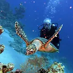 Aida Hotel Sharm El Sheikh