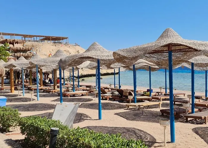 Sharks Bay Oasis Resort & Butterfly Diving Center