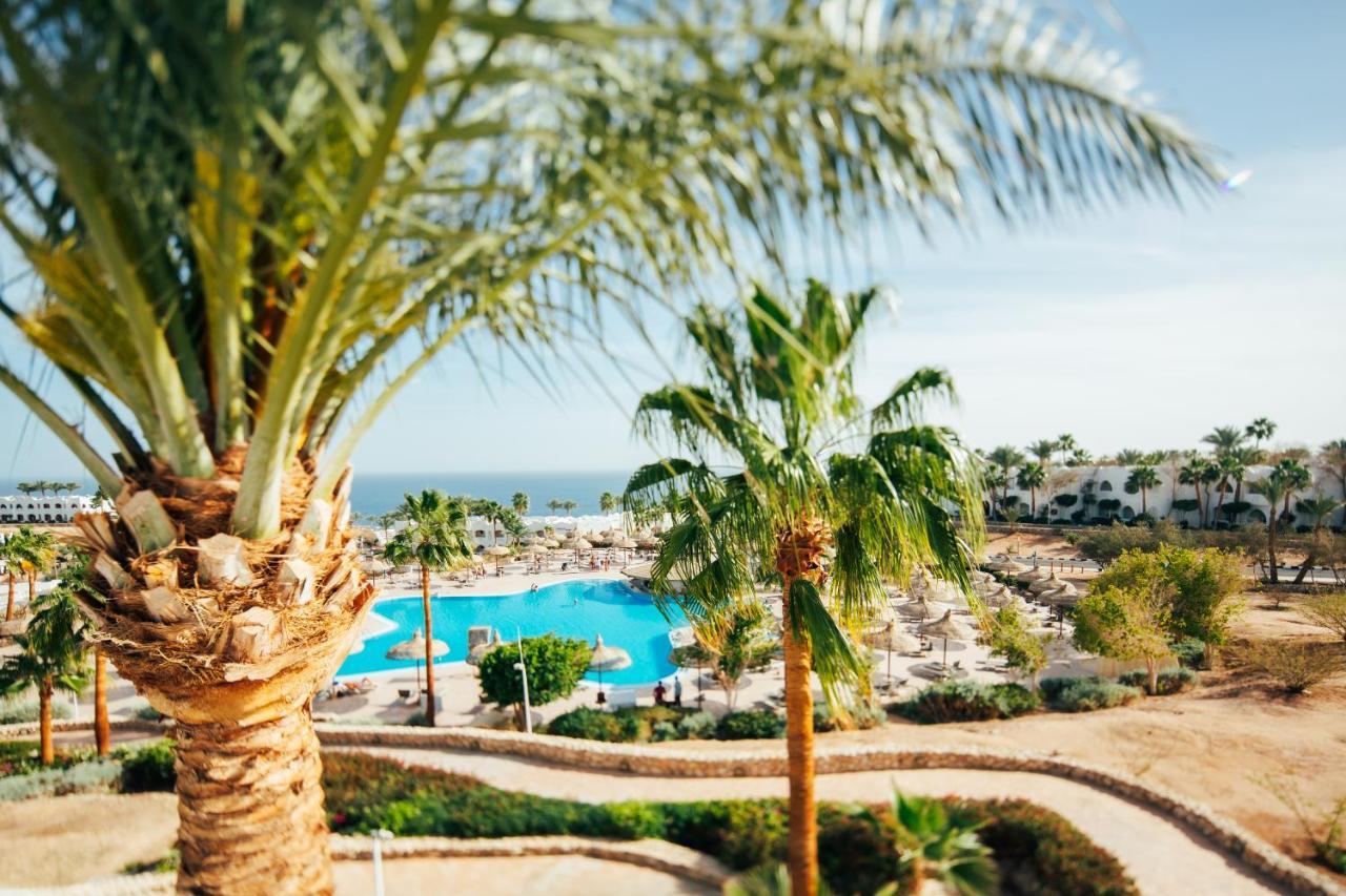 Domina Sultan & 5* Sharm el-Sheikh