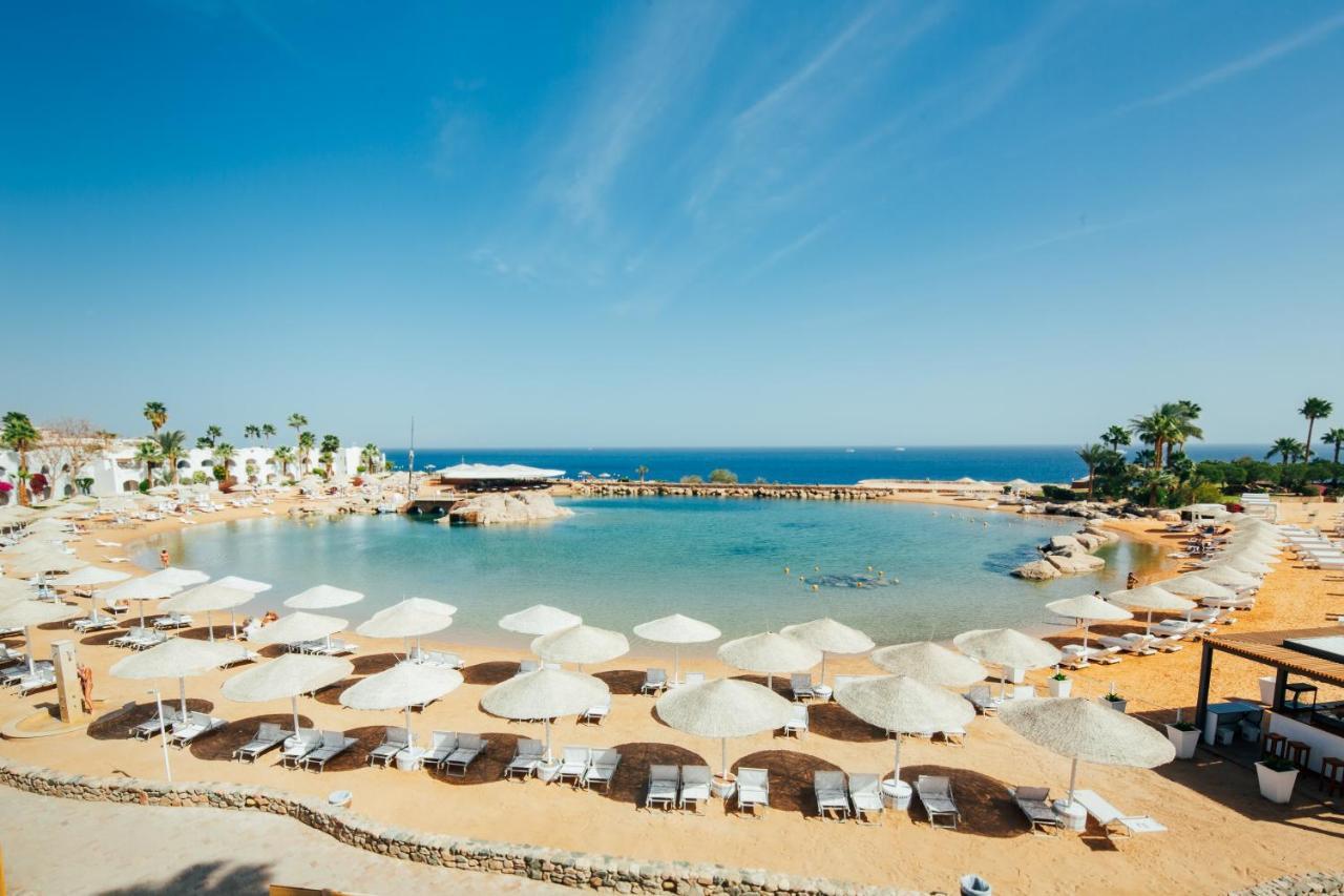 Domina King's & 5* Sharm el Sheikh