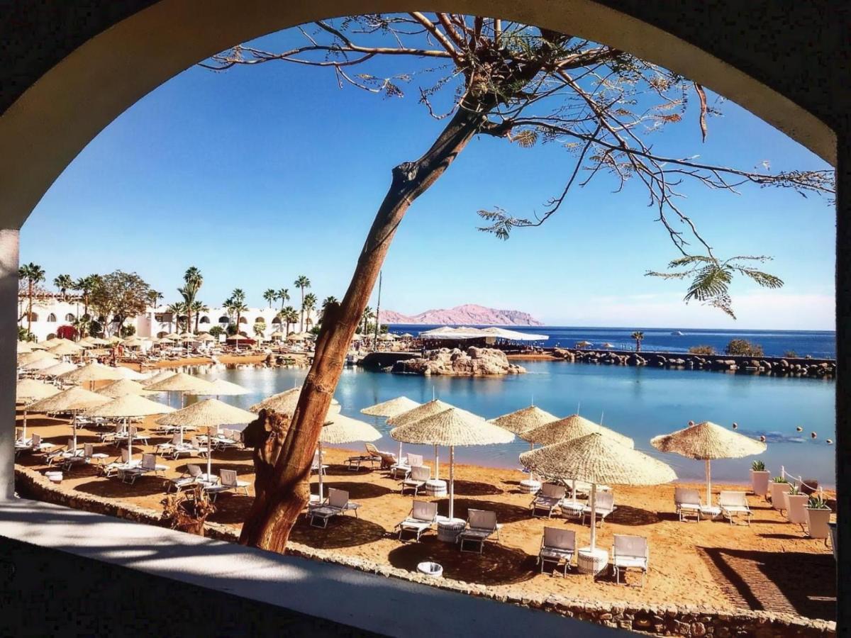 Domina Coral Bay Elite