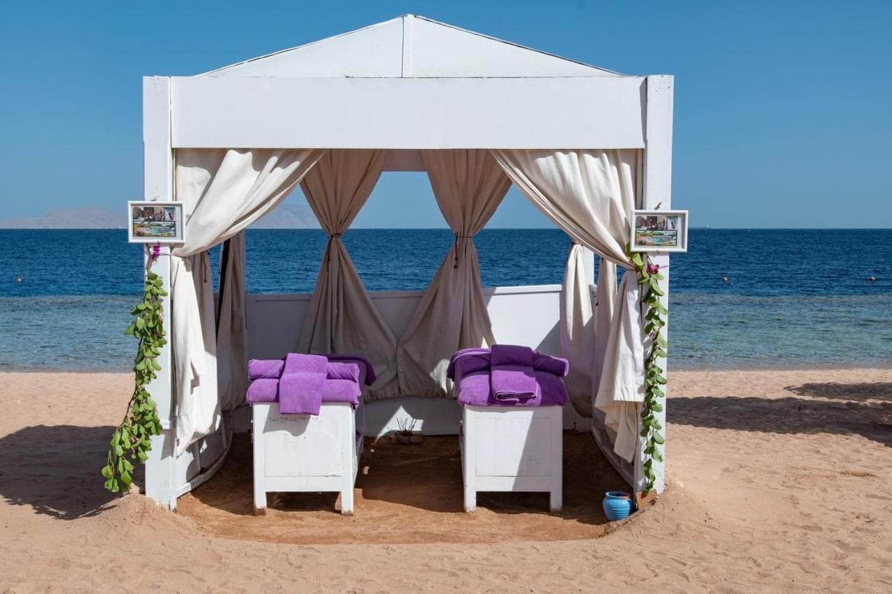 Apartment Domina Coral Bay Elite *