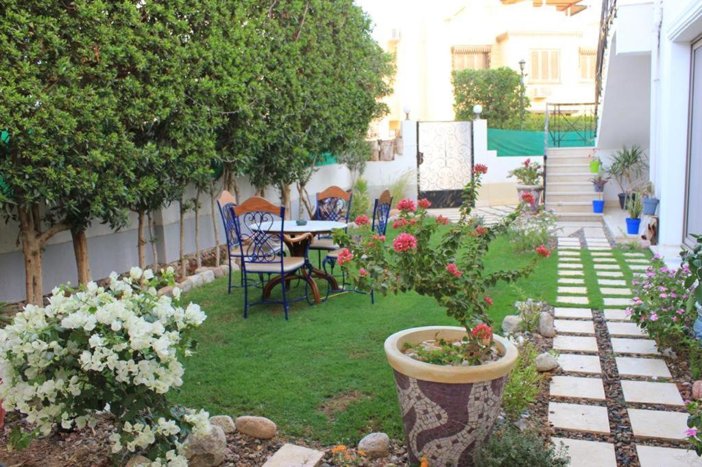 D60 Appartement *