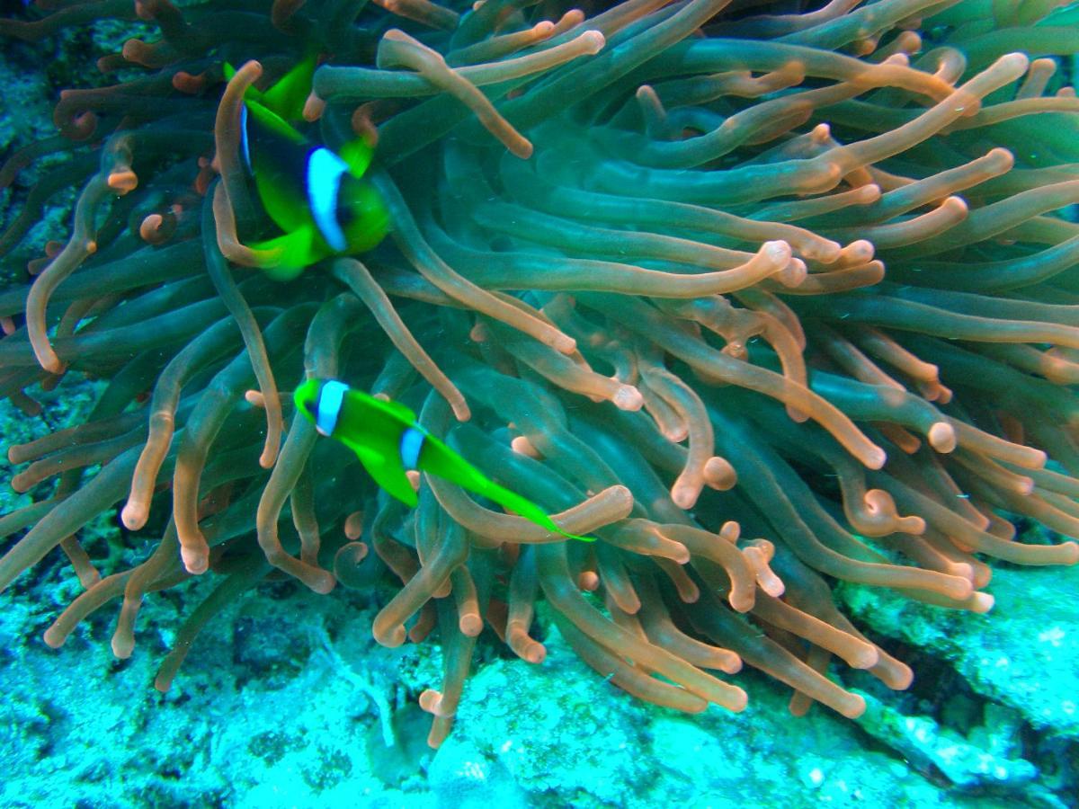 Family Vacation Sharm-el-Sheikh