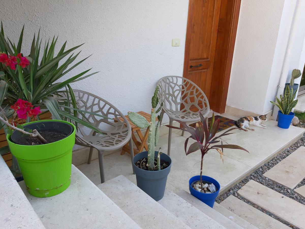 Appartement D60 *