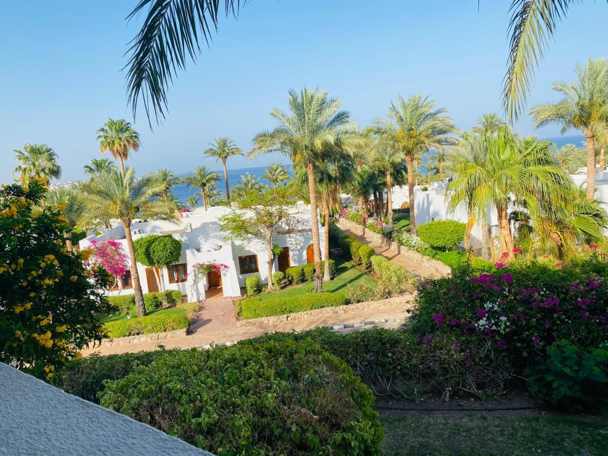 Apartment Domina Coral Bay Elite