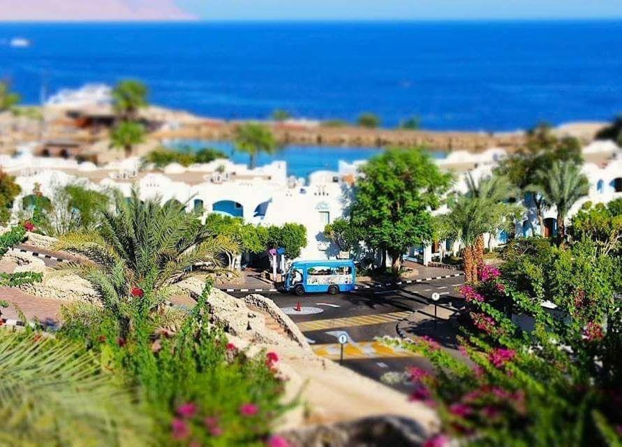 Domina Coral Bay Elite Sharm el-Sheikh