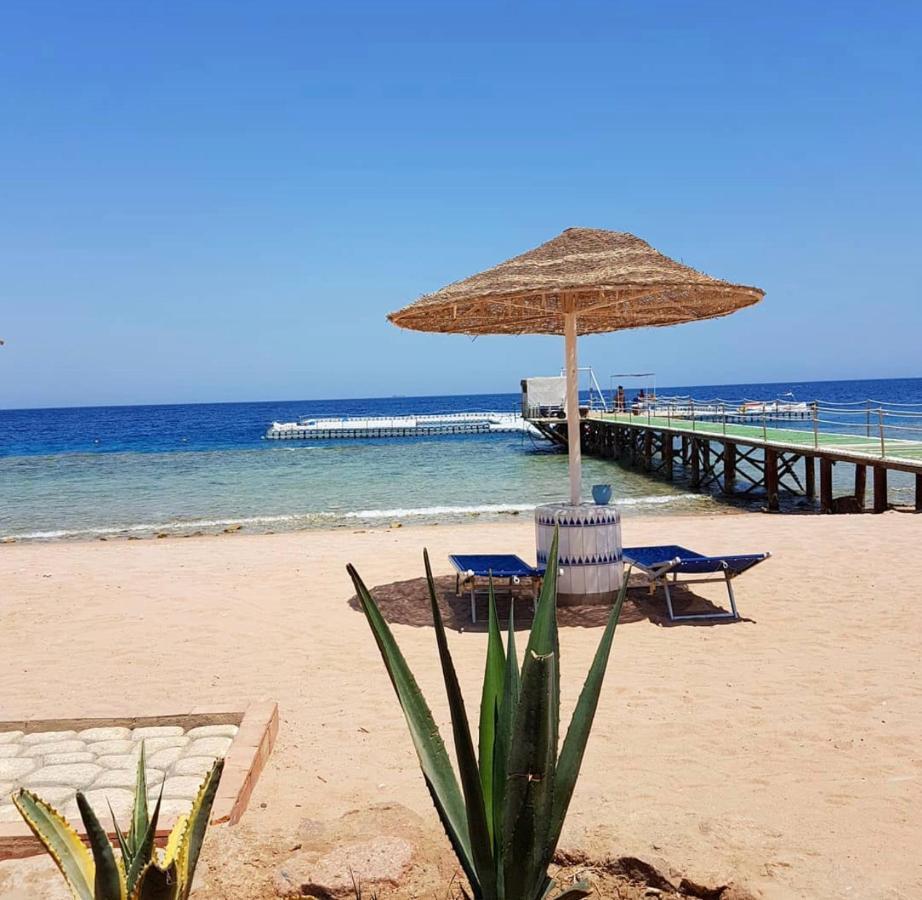 Domina Coral Bay Elite Apartment *