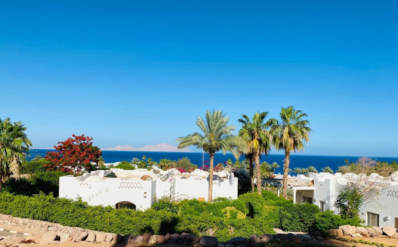 Domina Coral Bay Elite *