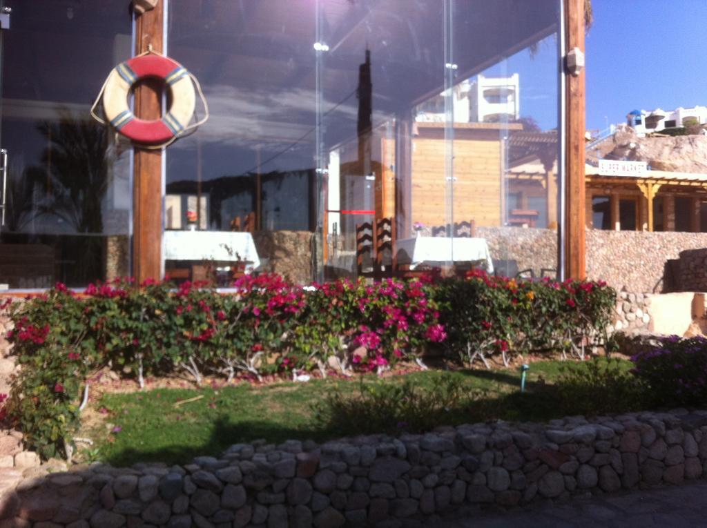 Sharks Bay Oasis Aqua Park 3* Sharm-el-Sheikh