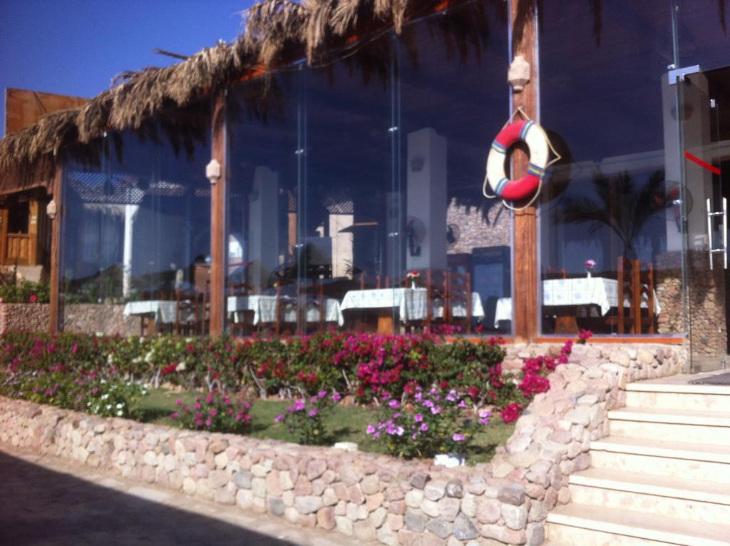 Sharks Bay Oasis Aqua Park Resort Sharm-el-Sheikh