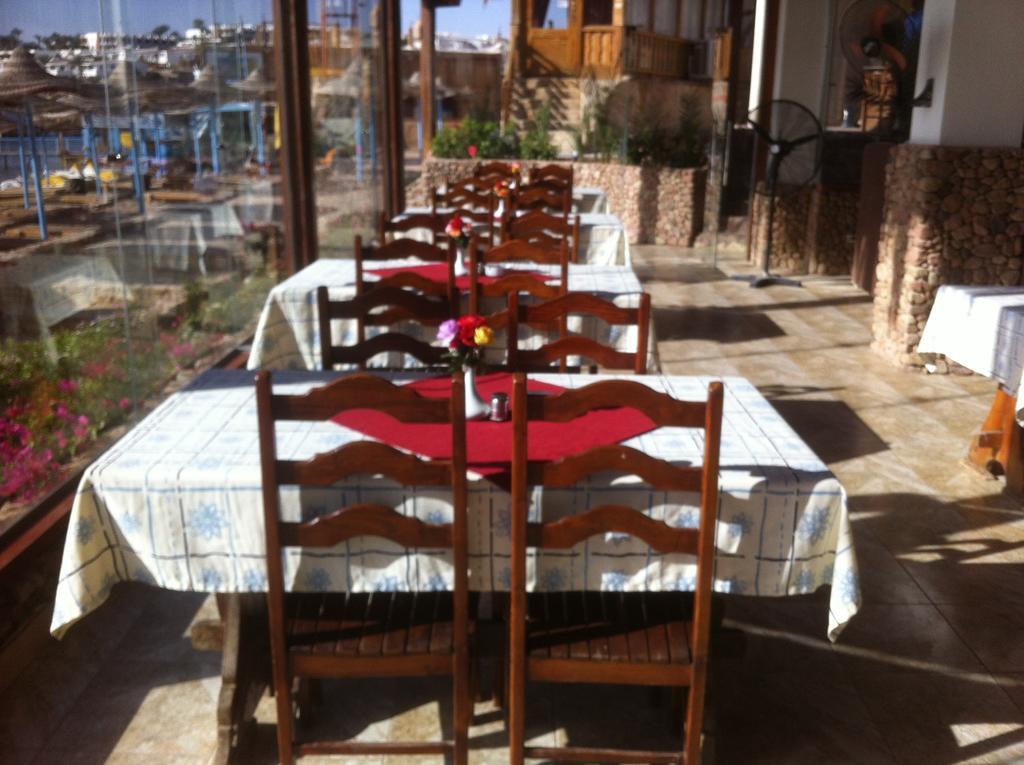 Sharks Bay Oasis Aqua Park Sharm-el-Sheikh