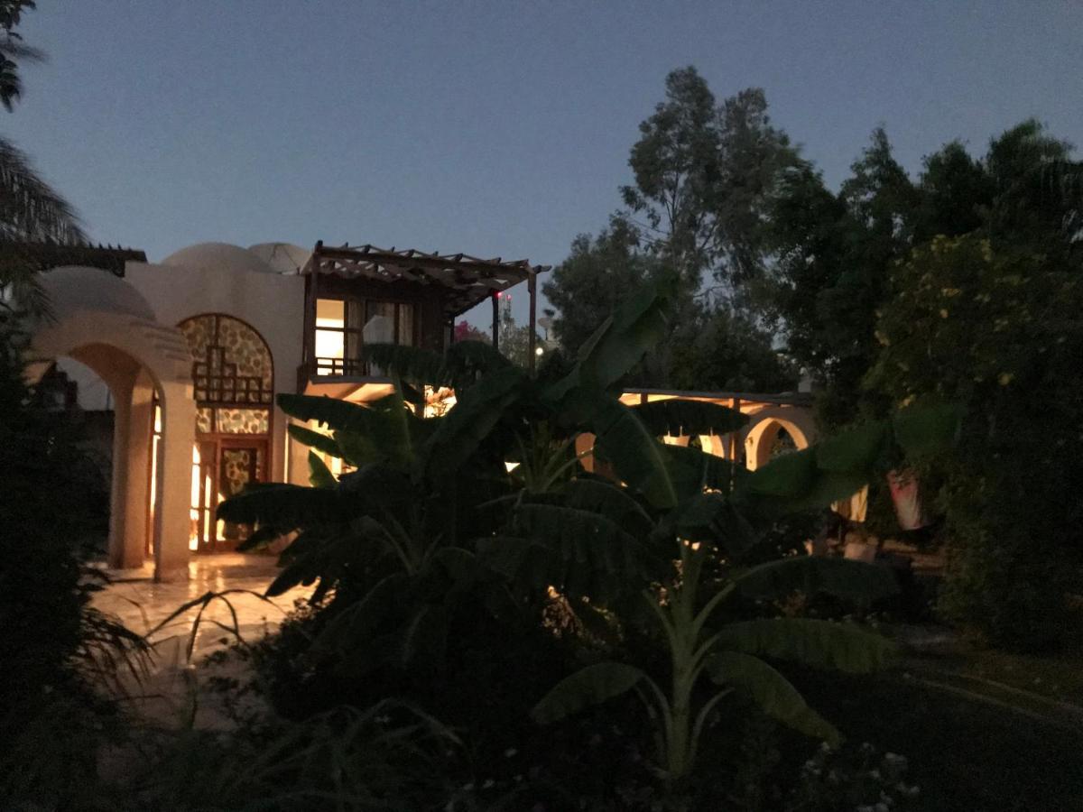Villa Gamila Daire