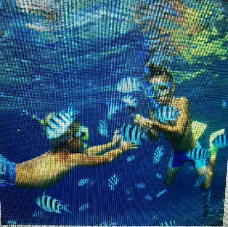 4 Bedr, Private Pool, Wifi, Beach Resort, Sheikh