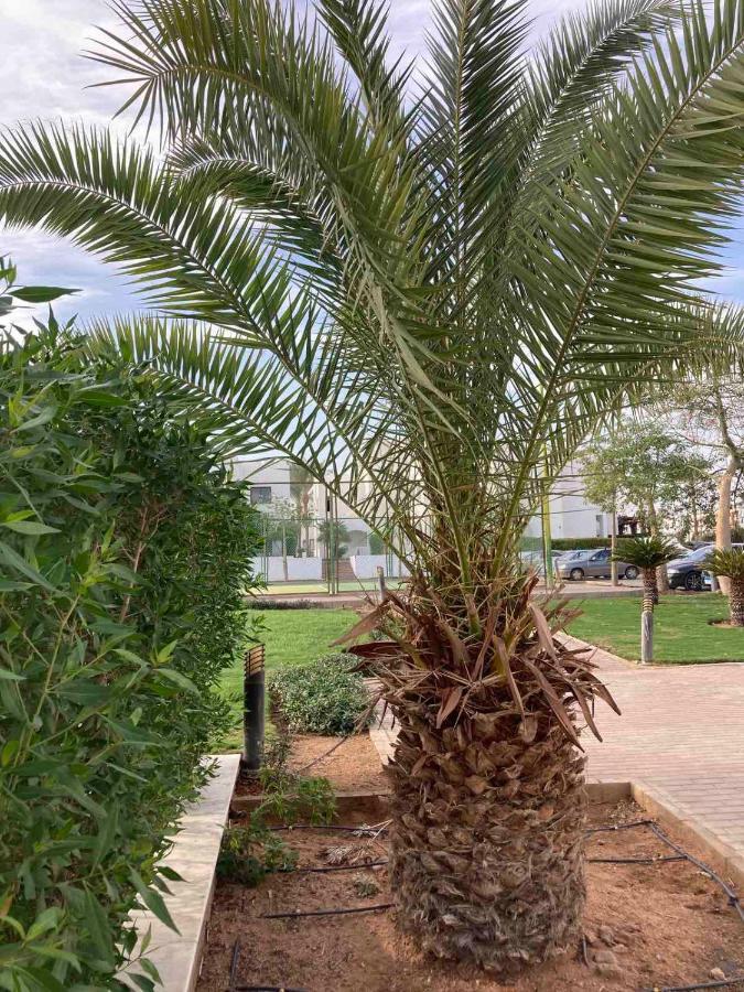 Diar El Rabwa Modern With Free Wifi And Private Balcony *
