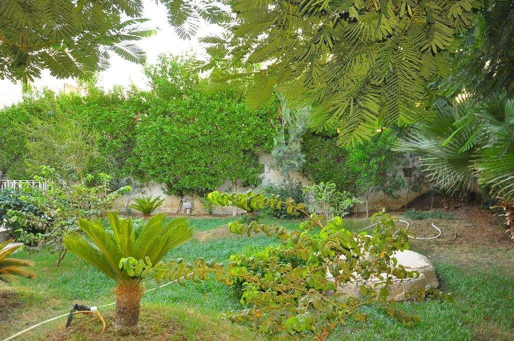 Shahrazad Sheikh * Sharm el-Sheikh